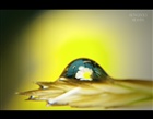 dailyPhoto9